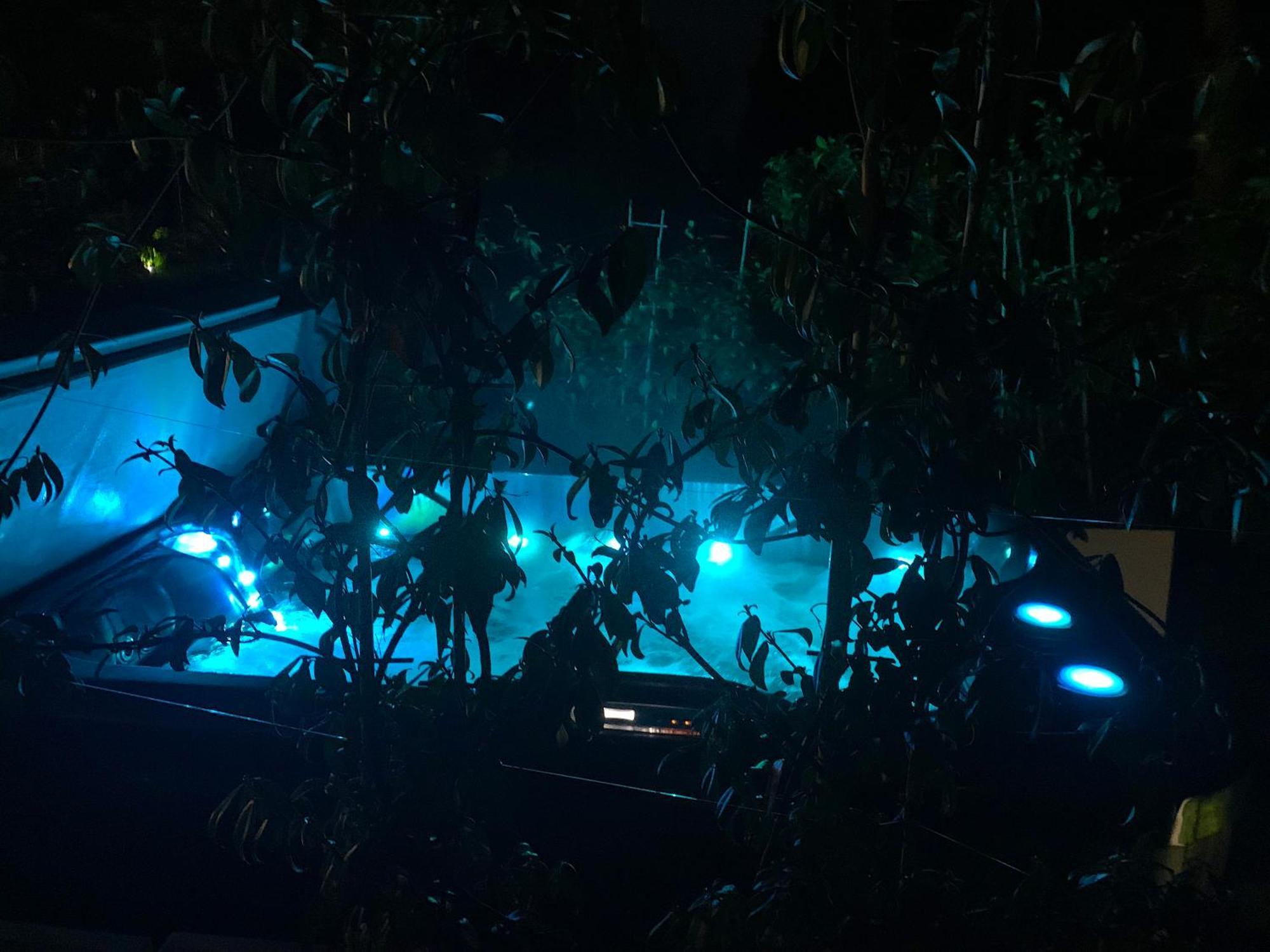 Marcenais L Ost In Sensations -Hebergements Insolites Et Suites De Luxe Spa Sauna Piscine Foret מראה חיצוני תמונה
